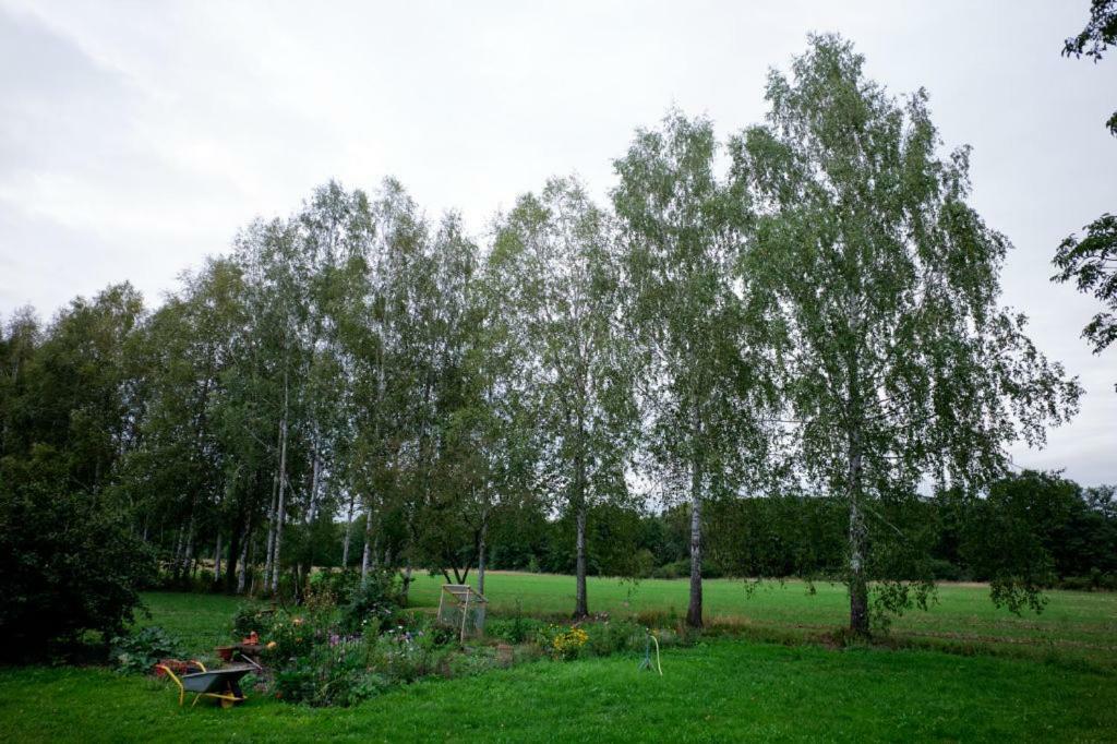 Obere Muehle - Scheunenwohnung Mitten Im Gruenen Baunach Dış mekan fotoğraf
